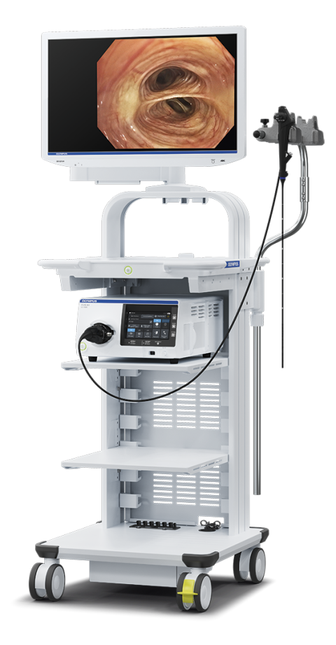 Gastroenterology endoscopy
